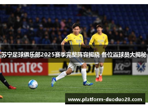 苏宁足球俱乐部2025赛季完整阵容揭晓 各位置球员大揭秘