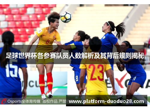 足球世界杯各参赛队员人数解析及其背后规则揭秘