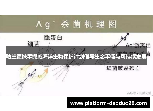 哈兰德携手挪威海洋生物保护计划倡导生态平衡与可持续发展