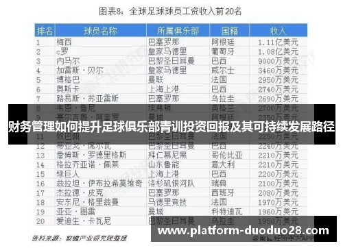 财务管理如何提升足球俱乐部青训投资回报及其可持续发展路径