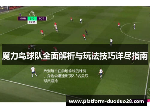 魔力鸟球队全面解析与玩法技巧详尽指南